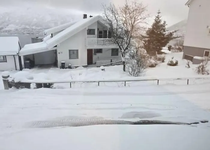 Arctic Nine - Nr 5 - On The Island